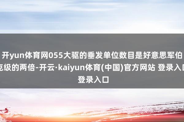 开yun体育网055大驱的垂发单位数目是好意思军伯克级的两倍-开云·kaiyun体育(中国)官方网站 登录入口