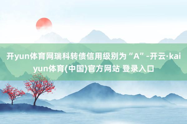 开yun体育网瑞科转债信用级别为“A”-开云·kaiyun体育(中国)官方网站 登录入口